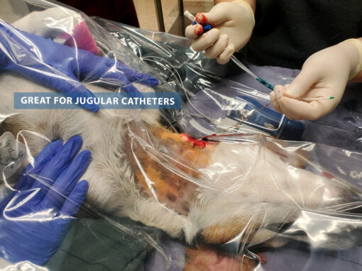 10-069 Drape, Epidural Veterinary Sterile Translucent w/ Adj Fenestration 24x24” - Image 2